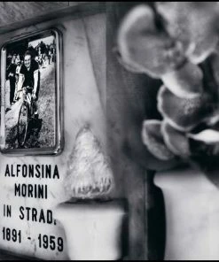 Rouleur Library ALFONSINA Cycling Is My Life - Ilona Kamps - Book Books & Publications