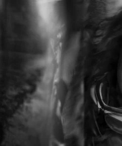 Rouleur Library ALFONSINA Cycling Is My Life - Ilona Kamps - Book Books & Publications