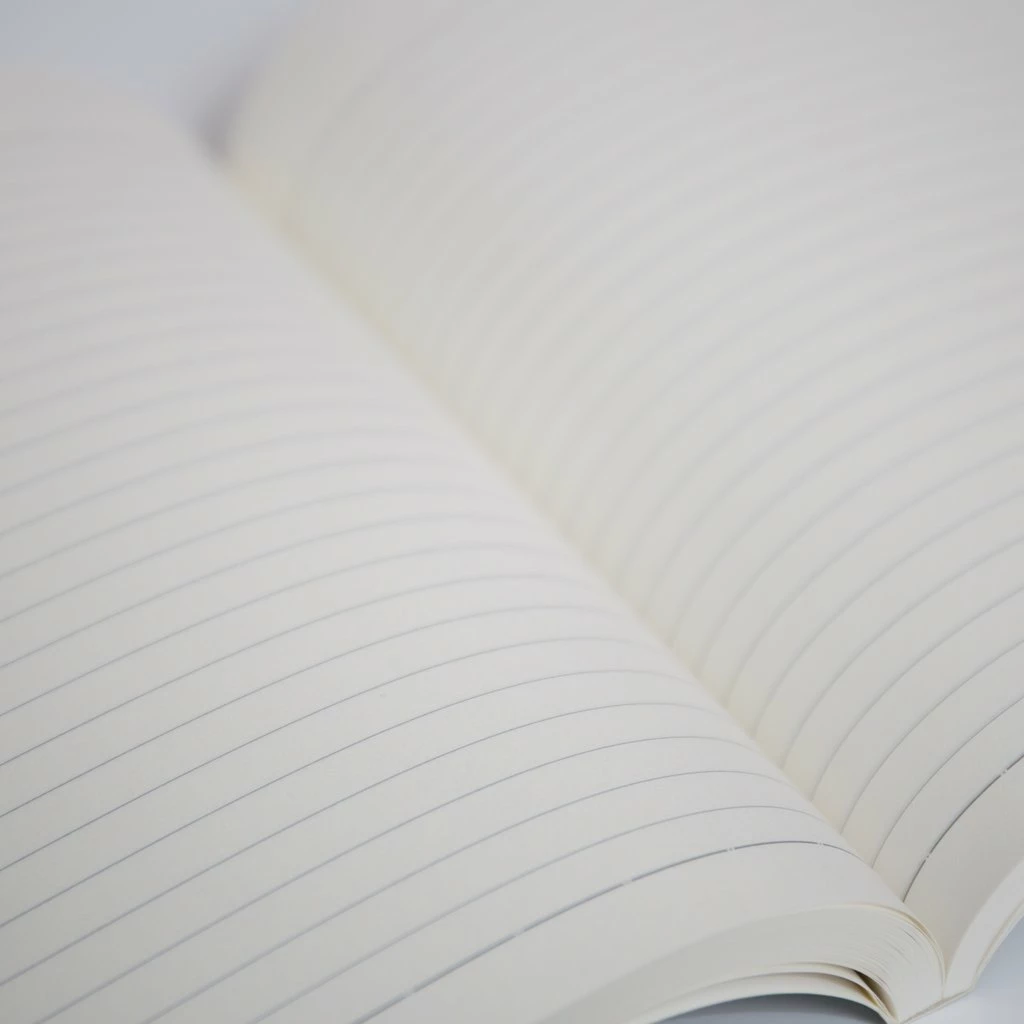 The Handmade Cyclist - Panache Notebook Collection - Hinault '80