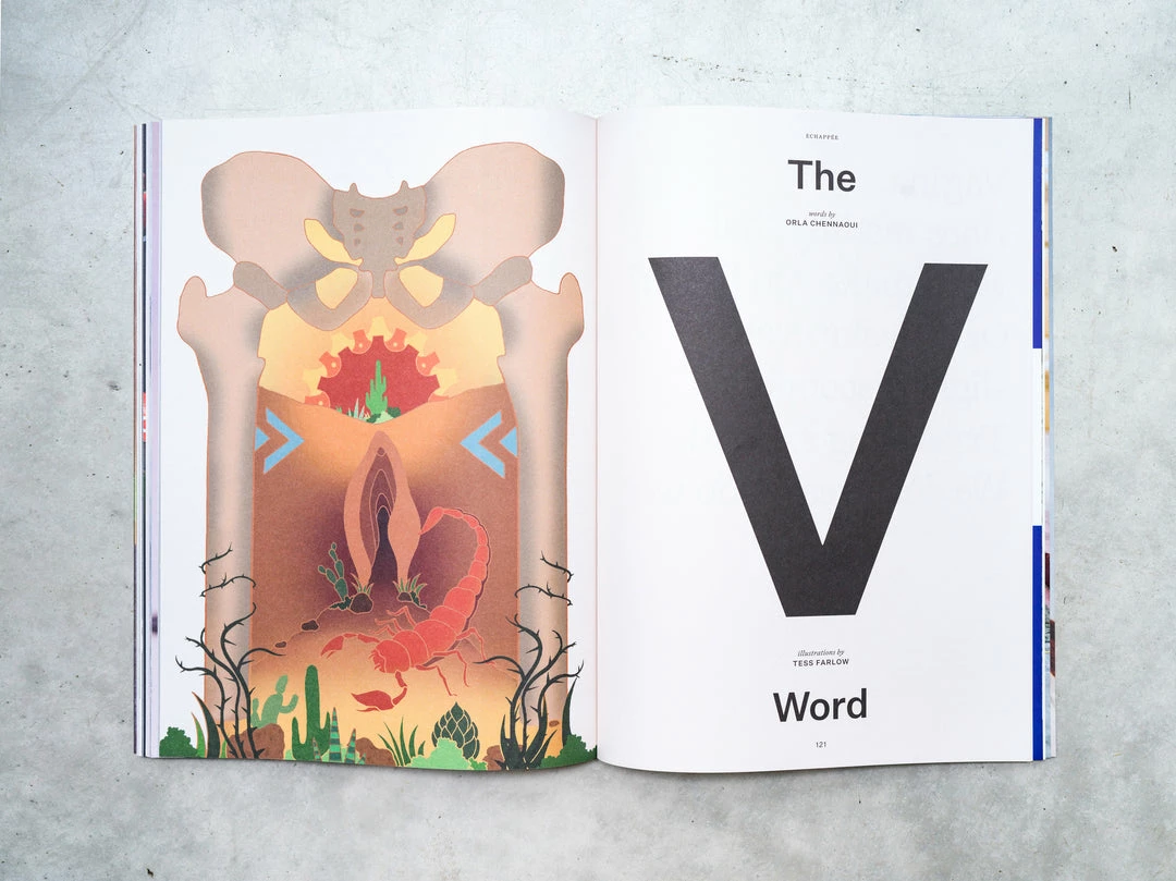 Rouleur Issue 101 - Women's Special