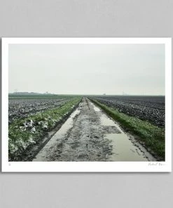 Rouleur Gallery Roubaix 04 - Art Print - Michael Blann