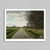 Rouleur Gallery Roubaix 07 - Art Print - Michael Blann Art & Photo Prints