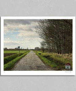 Rouleur Gallery Roubaix 07 - Art Print - Michael Blann Art & Photo Prints