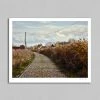 Rouleur Gallery Roubaix 09 - Art Print - Michael Blann Art & Photo Prints