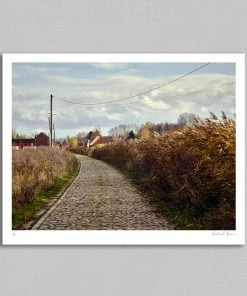 Rouleur Gallery Roubaix 09 - Art Print - Michael Blann Art & Photo Prints