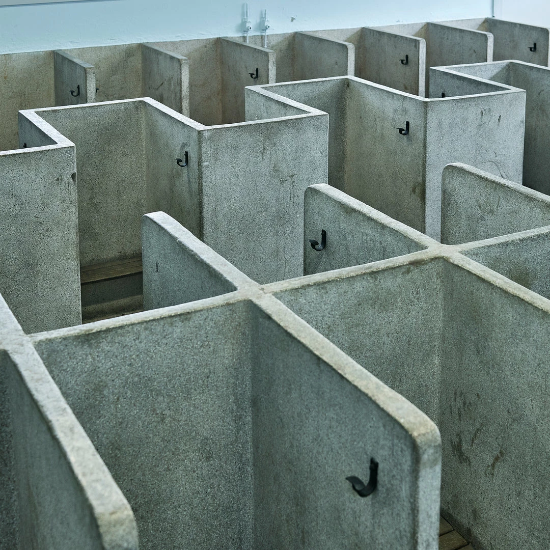 Rouleur Gallery Roubaix 01 - Art Print - Michael Blann