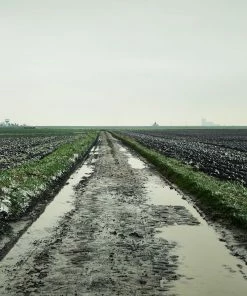 Rouleur Gallery Roubaix 04 - Art Print - Michael Blann