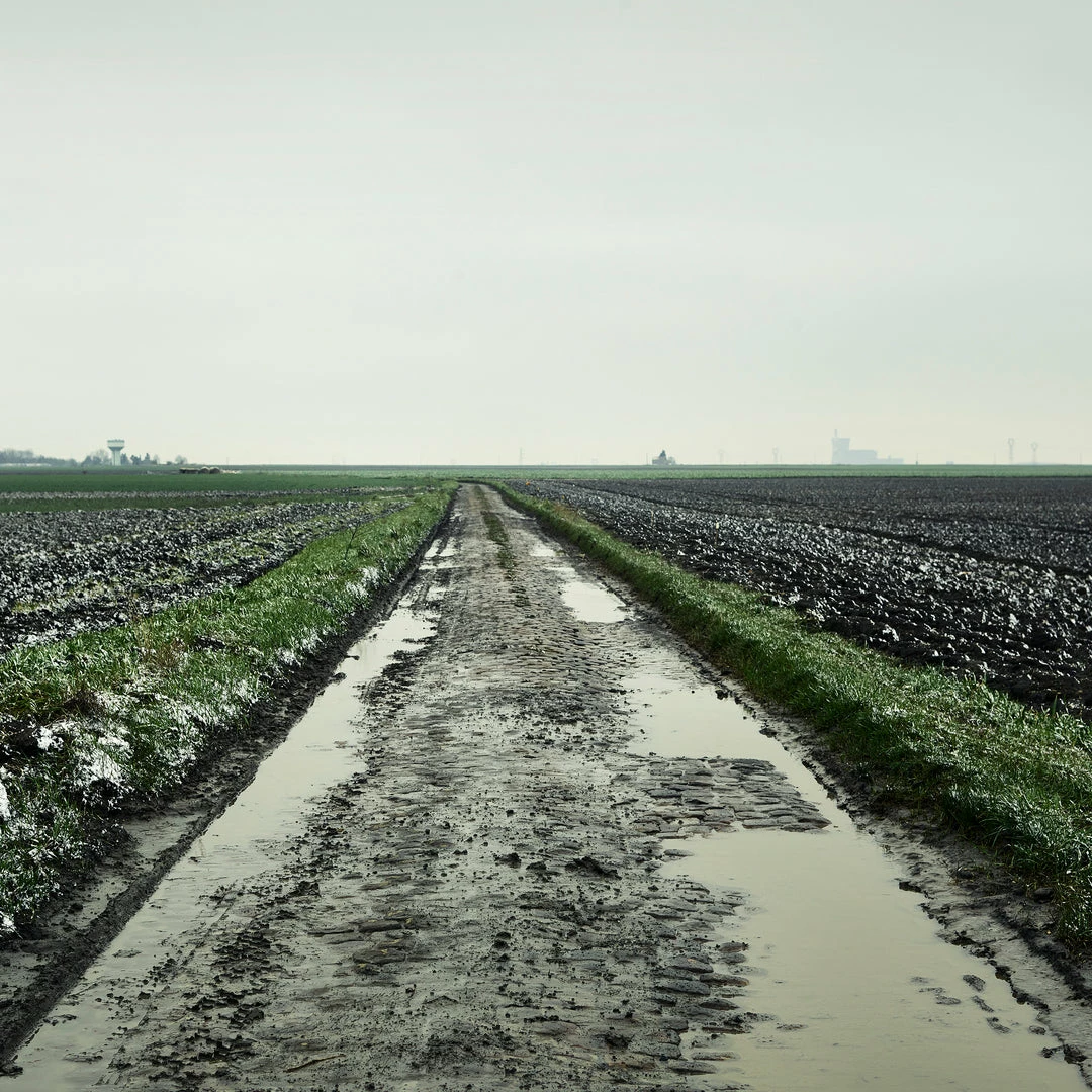 Rouleur Gallery Roubaix 04 - Art Print - Michael Blann