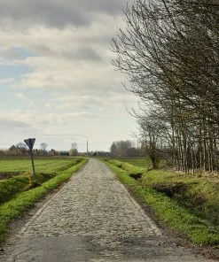 Rouleur Gallery Roubaix 07 - Art Print - Michael Blann Art & Photo Prints