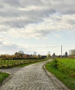 Rouleur Gallery Roubaix 08 - Art Print - Michael Blann