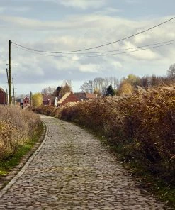 Rouleur Gallery Roubaix 09 - Art Print - Michael Blann Art & Photo Prints