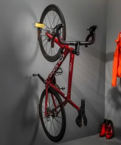 Cactus Tongue WRAP Vert Wall Mount Archive Sale