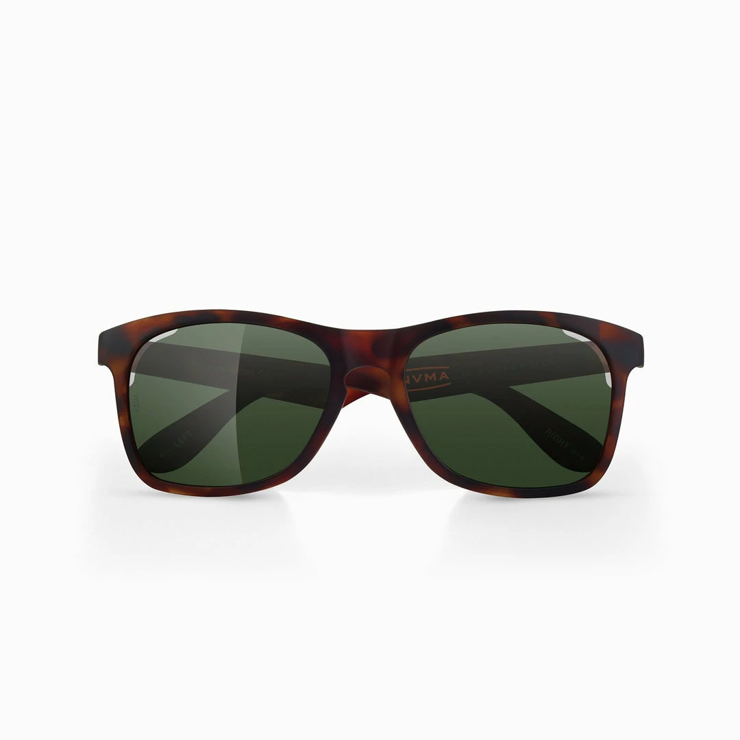 Alba Optics - ANVMA Sunglasses - Vogue