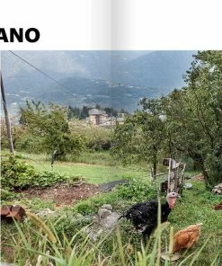 Rouleur Archive Issue 43 - Retail Edition